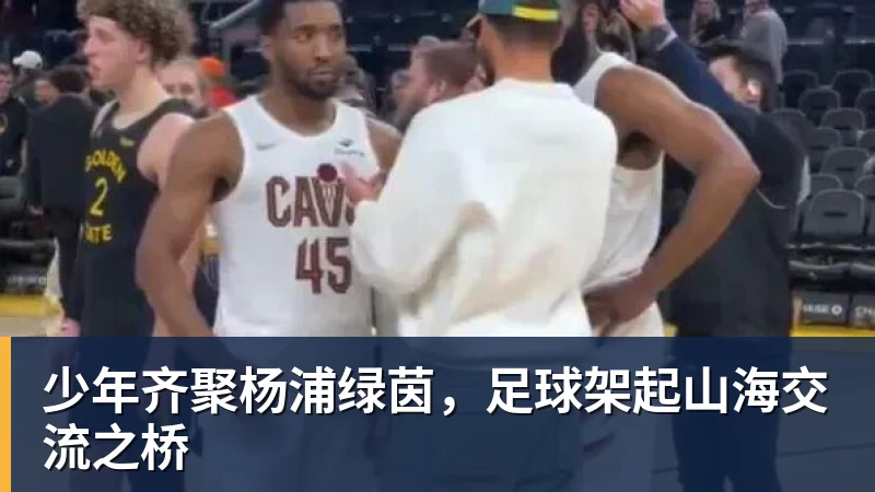 詹姆斯离队,湖人难进季后赛?名嘴列举下赛季西部5强:火箭在列 - 米兰体育-米兰milan(中国)